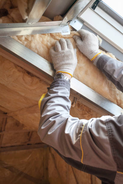 Best Residential Insulation in Elizabethton, TN