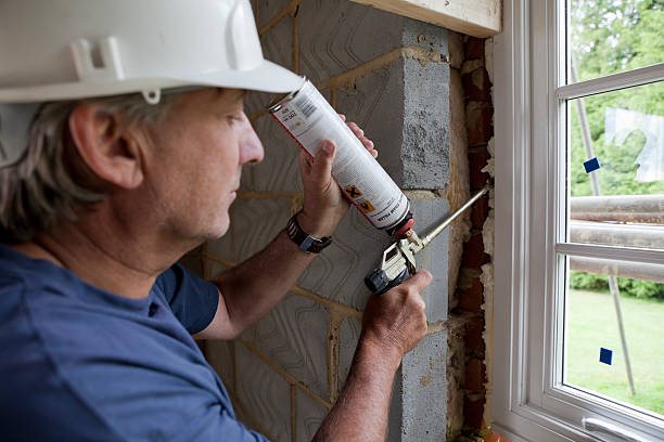 Best Insulation Installation Services in Elizabethton, TN